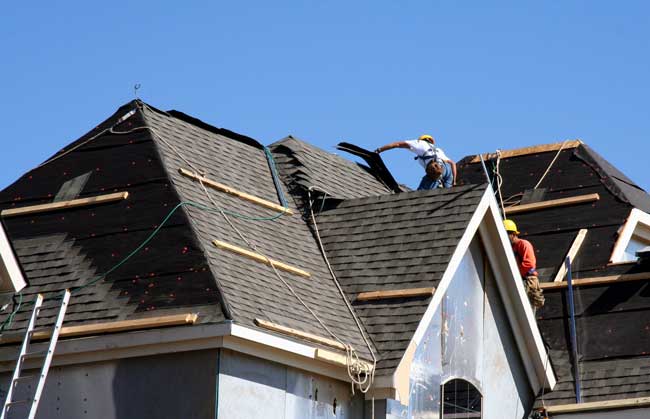 Professional Roof Installation