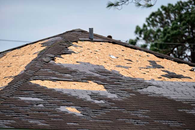 Storm Damage Repair Services